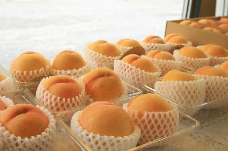 まぼろしの桃　桃　もも　直売　お中元　馥郁　恵那　黄金桃　ジャム　イチゴ狩り、甘い、大きい、恵那、楽しい